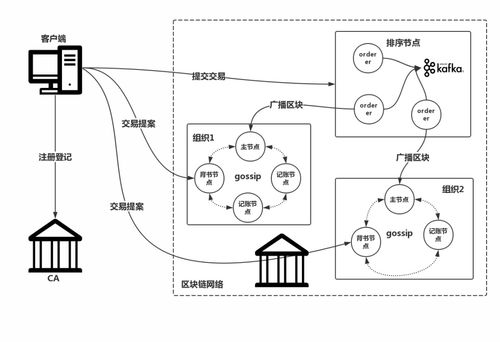 3.fabric系统架构 网络拓扑图 交易流程